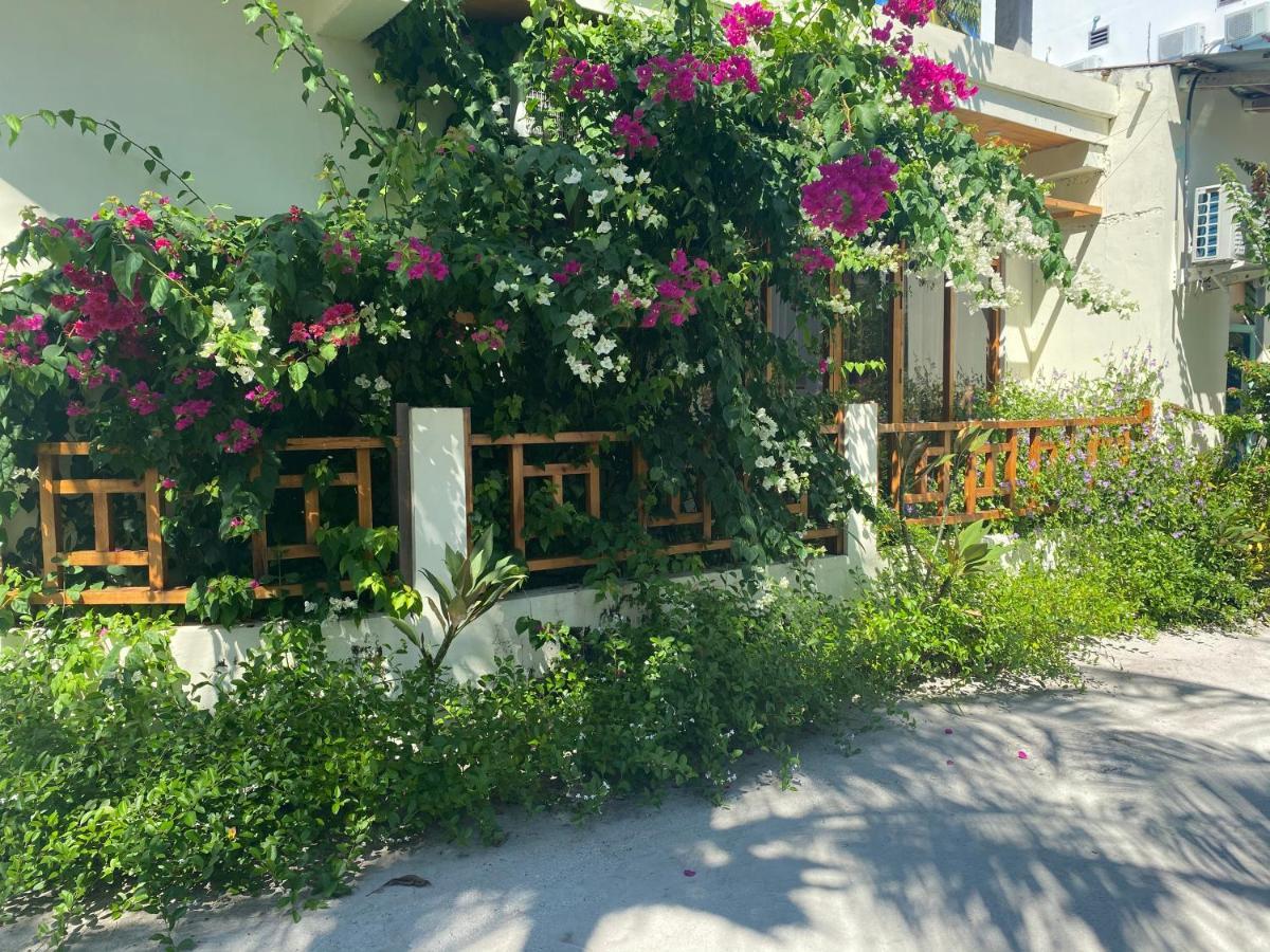 Bougainvillea Inn - Maldives Fulidhoo Dış mekan fotoğraf