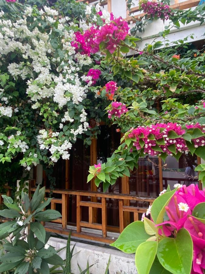 Bougainvillea Inn - Maldives Fulidhoo Dış mekan fotoğraf